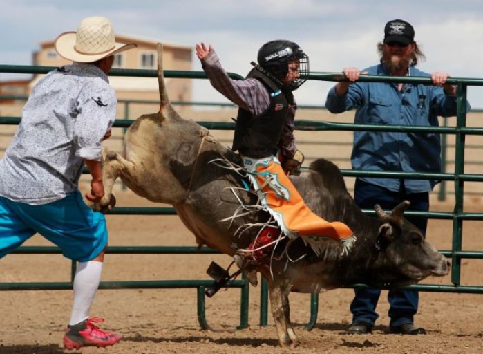Mini Bull Riding